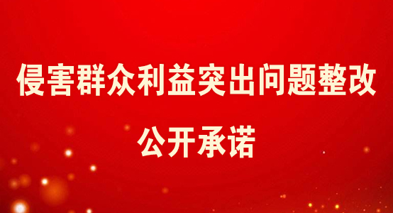 侵害群眾利益突出問(wèn)題整改公開承諾